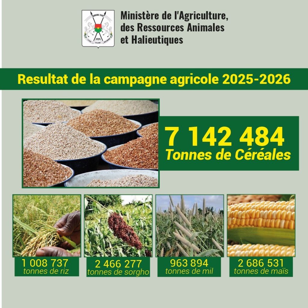 Burkina Faso | Bilan de la campagne agricole 2025 2026 : une production ...